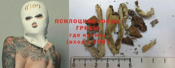 винт Абаза