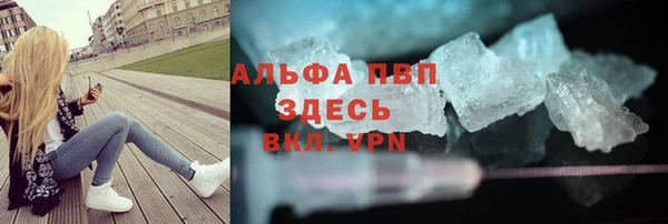 винт Абаза