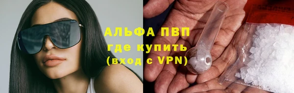 винт Абаза