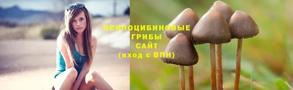 герыч Абинск
