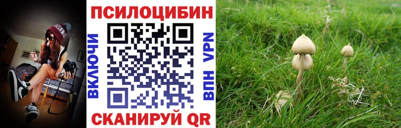 Псилоцибиновые грибы Magic Shrooms Артём