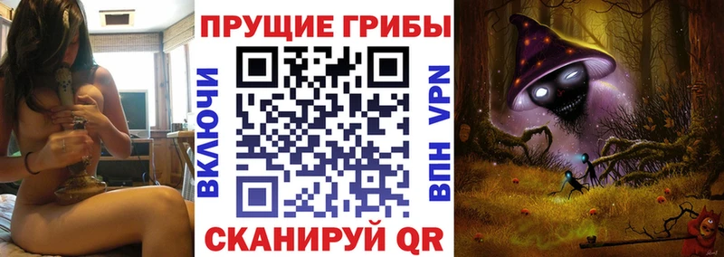 ОМГ ОМГ маркетплейс  Артём  Псилоцибиновые грибы ЛСД 